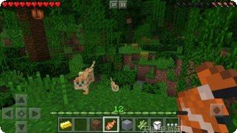 我的世界之天启版本