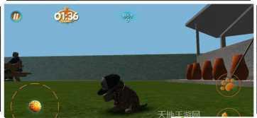 真实小猫3D模拟下载