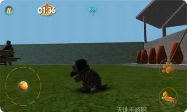 真实小猫3D模拟安卓版