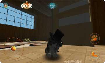 真实小猫3D模拟玩法介绍