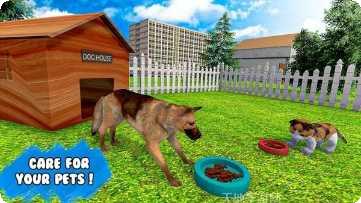 虚拟动物避难所游戏评测