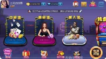 小猫棋牌游戏攻略