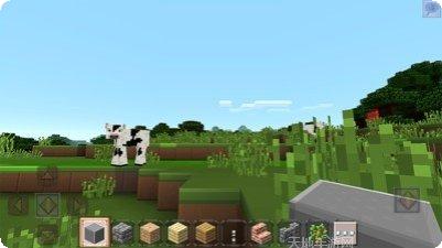 我的暑假秘密回忆评测