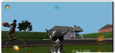 真实小猫3D模拟攻略