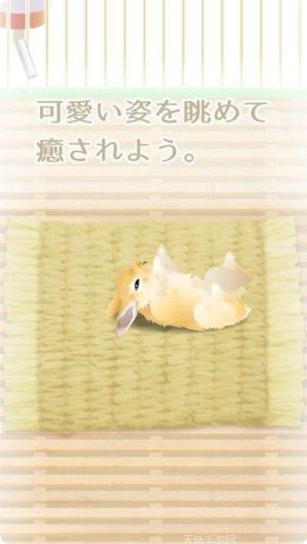 治愈系金鱼养成视频