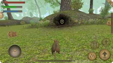 疯狂老鼠王游戏评测