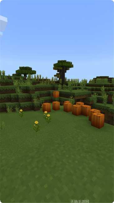 洛基世界5游戏攻略