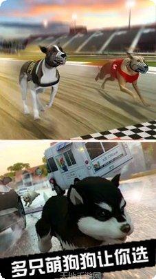 我的萌宠乐园宠物养成