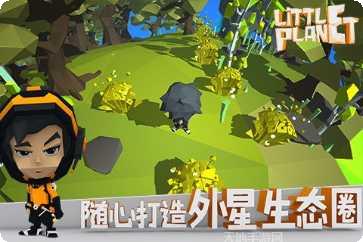 小小的灯光唯美画面