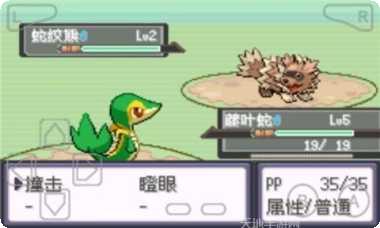 口袋妖怪超进化角色介绍