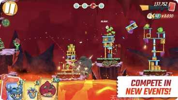 Angry Flowers最新版本