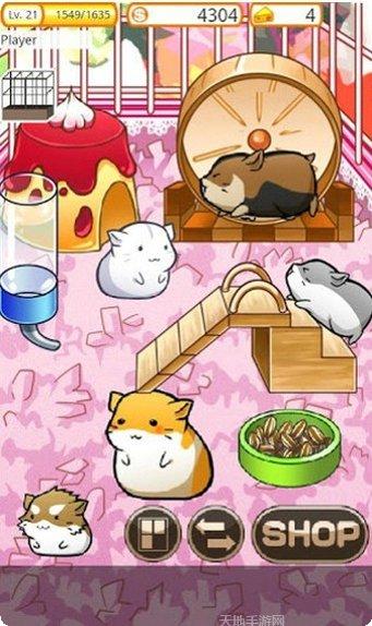 仓鼠的野餐下载地址