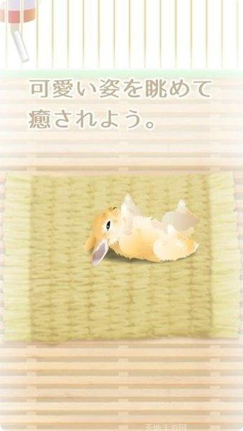 治愈系金鱼养成心得