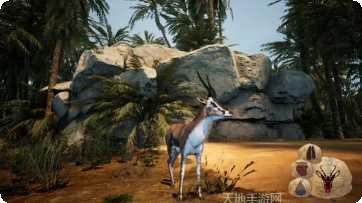 Animals Shapes儿童教育