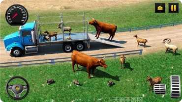 农场动物运送挑战