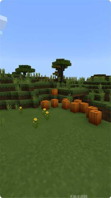 洛基世界5角色介绍