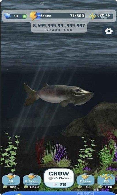 物种进化2生物种类