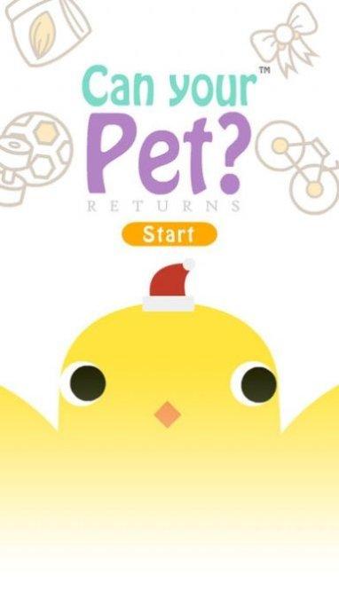 养只小可爱动物收集