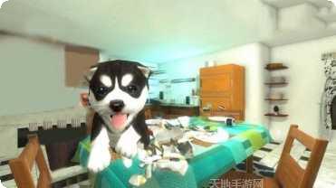 动物生存模拟器之老鹰下载