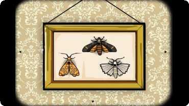 绣湖旅馆中文版攻略