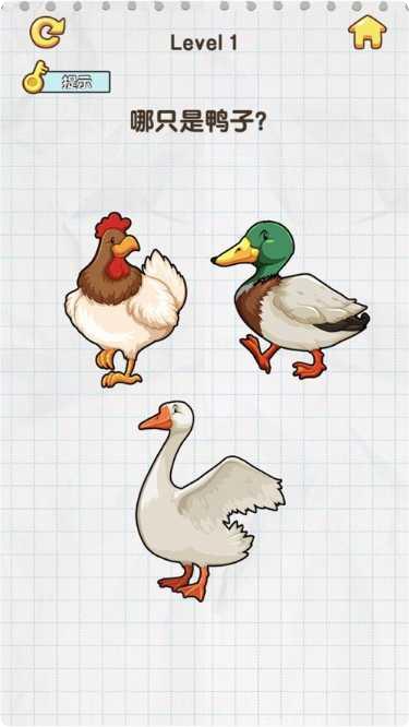 脑力赛车冒险游戏下载