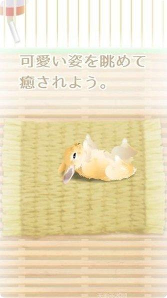 治愈系金鱼养成心得