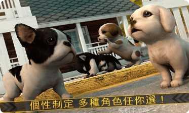 超级小汪大闯关攻略