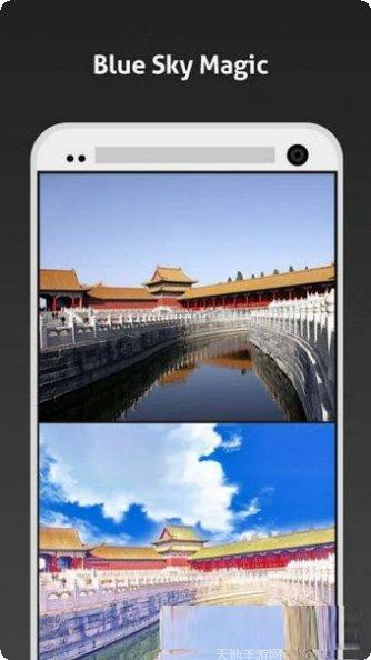 动物形状儿童教育