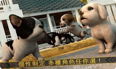 超级小汪大闯关攻略