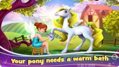 照顾小马宝莉游戏下载