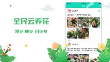 梦幻乐园游戏玩法介绍