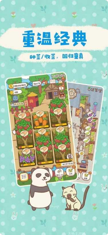 口袋菜地新手教程