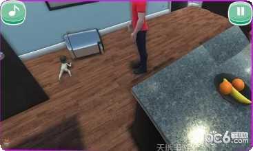 找到你眼瞎玩法