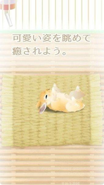 治愈系金鱼养成攻略