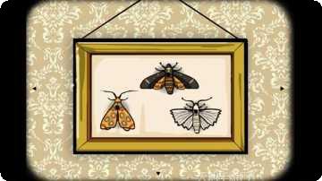 绣湖旅馆中文版下载