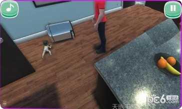 找到你眼瞎评测