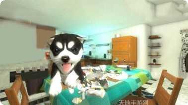 动物生存模拟器之老鹰游戏下载地址