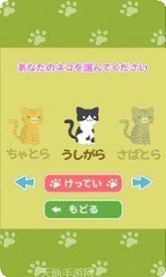 可爱猫的逆向对决技巧