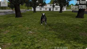 疯狂的牛牛游戏技巧