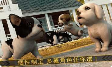 超级小汪大闯关最新版