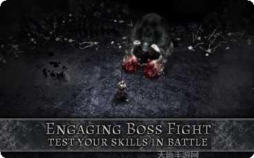 动物形状记忆训练