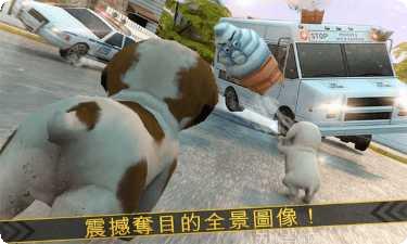 超级小汪大闯关攻略