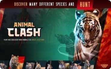 Animals Shapes儿童益智