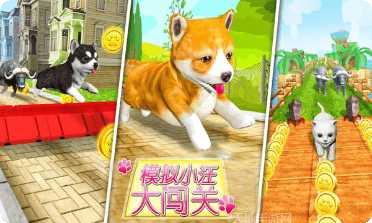 超级小汪大闯关攻略