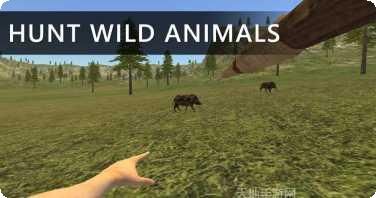 野外生存模拟食物获取