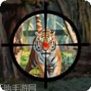 森林动物狙击