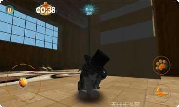 真实小猫3D模拟游戏下载