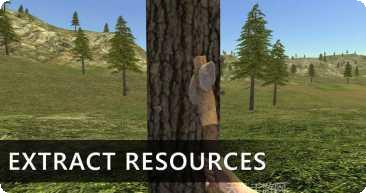 野外生存模拟资源获取