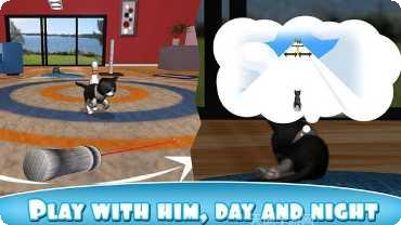 猫咪小屋合成喵喵最新版本