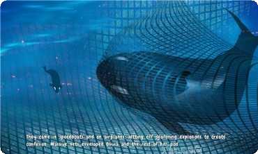 猫咪小屋合成喵喵玩法介绍